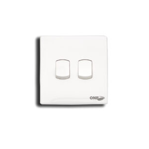 CIP- 2 GANG SWITCH