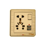 GLORY 10 PIN MULTI SOCKET+USB(GOLD)