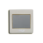 GOLD-1 GANG SWITCH