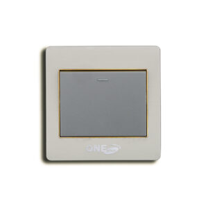 GOLD-1 GANG SWITCH
