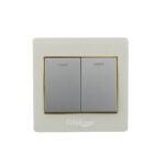 GOLD-2 GANG SWITCH
