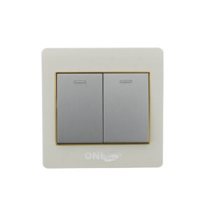 GOLD-2 GANG SWITCH
